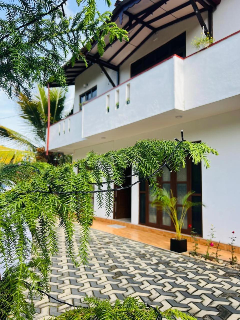 Montes Ella Bed & Breakfast Exterior photo